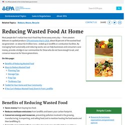 Reducing Wasted Food At Home