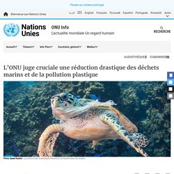 L’ONU juge cruciale une réduction drastique des déchets marins et de la pollution plastique