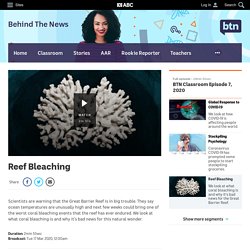 Reef Bleaching - Classroom - BTN