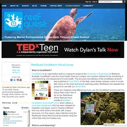 ReefQuest CoralWatch Virtual Survey - ReefQuest