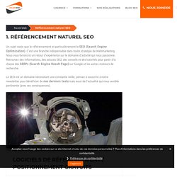 Référencement naturel Search Engine Optimization (SEO)
