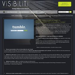10 conseils pour optimiser le référencement de votre blog Tumblr - Visibiliti