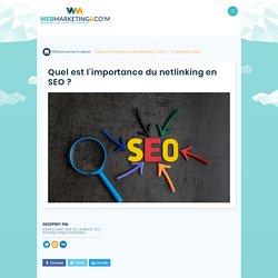 ▷ Quel est l’importance du netlinking en SEO