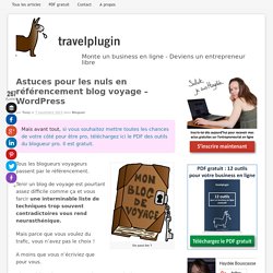 Astuces pour les nuls en référencement blog voyage - Wordpress