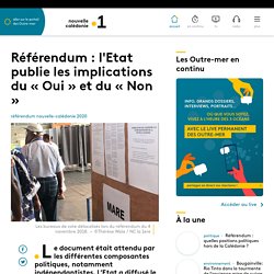 Référendum : l'Etat publie les implications du « Oui » et du « Non » - Nouv