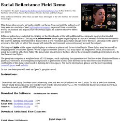 Reflectance Field Demo