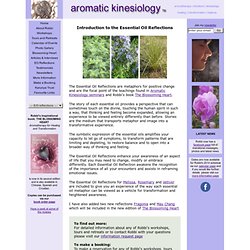 Aromatic Kinesiology - Emotions and Aromatherapy