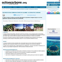 REFORESTATION COMMUNAUTAIRE EN COLOMBIE - ALTERNATIVE CARBONE