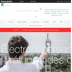 Électrohypersensibles : réfugiés des ondes - France 3 Occitanie