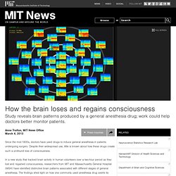 How the brain loses and regains consciousness
