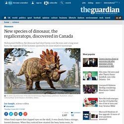 New species of dinosaur, the regaliceratops, discovered in Canada