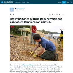 The Importance of Bush Regeneration and Ecosystem Rejuvenation Services