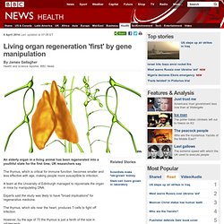 Living organ regeneration 'first' by gene manipulation