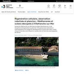 Régénération cellulaire, observation robotisée et plancton : Méditerranée et océans décryptés à Villefranche-sur-Mer