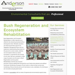 Bush Regeneration