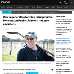 How regenerative farming is helping the Mornington Peninsula reach net zero emissions