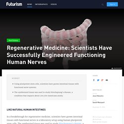 Regenerative Medicine: Scientists Have Successfully Engineered Functioning Human Nerves