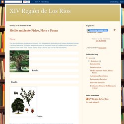 XIV Región de Los Ríos: Medio ambiente Físico, Flora y Fauna