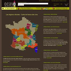 Zoom sur les Régions viticoles Francaises