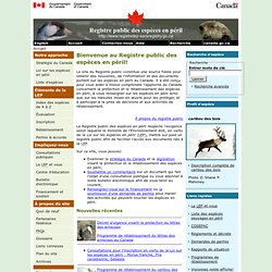 Registre public des espèces en péril - Page d'accueil