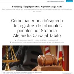 Defensora y su papel por Stefania Alejandra Carvajal Tabilo