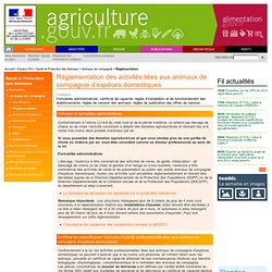 Réglementation - Ministère de l'agriculture et de l'agroalimentaire