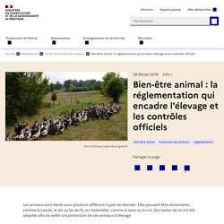 Bien-être animal : la réglementation qui encadre l'élevage et les contrôles officiels