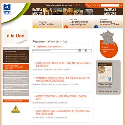 Réglementation termite - loi termite - CTBA+