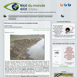 En France, les rivières regorgent de pesticides interdits
