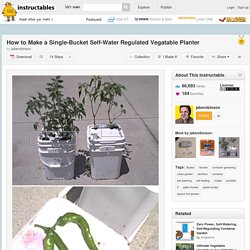 How to Make a Single-Bucket Self-Water Regulated Vegatable Planter