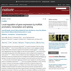 Local regulation of gene expression by lncRNA promoters, transcription and splicing : Nature : Nature Research