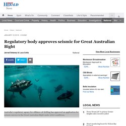 Regulatory body approves seismic for Great Australian Bight