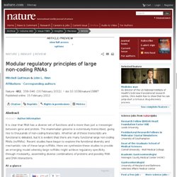 Modular regulatory principles of large non-coding RNAs : Nature