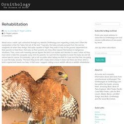 Rehabilitation – Ornithology