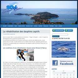 La réhabilitation des dauphins captifs » SOS Grand Bleu, protection des dauphins et des mammifères marins.