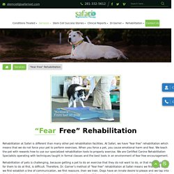 Affordable Rehabilitation Stem Cell Therapy Hospital for Pets in League City TX.