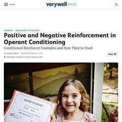 Article 1: "What Is Reinforcement in Operant Conditioning?"
