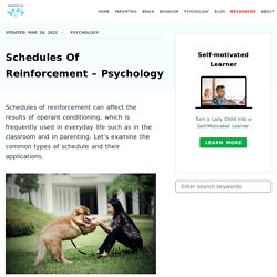 Schedules Of Reinforcement - Psychology