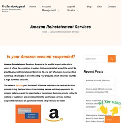 Amazon Reinstatement Services