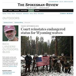 The Spokesman-Review: Court reinstates endangered status for Wyoming wolves