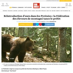 1/6/18 - SudOuest - Réintroduction d’ours dans les Pyrénées : la Fédération des éleveurs de montagne tance le préfet
