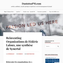 Reinventing Organizations de Fédéric Laloux, une synthèse de Synertal – DantotsuPM.com