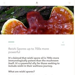 Reishi Spores up to 700x more powerful – Nutura Wellness