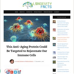 This Anti-Aging Protein Could Be Targeted to Rejuvenate Our Immune Cells » LongevityFacts