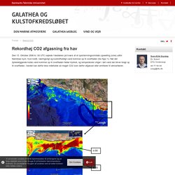 Rekordhøj CO2 afgasning fra hav - Galathea og kulstofkredsløbet