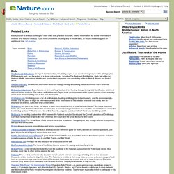 Wildlife and Natural History - Master of Links