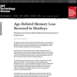 Age-Related Memory Loss Reversed in Monkeys