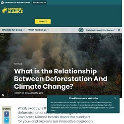 What is the Relationship Between Deforestation And Climate Change?