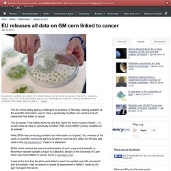 EU releases all data on GM corn linked to cancer