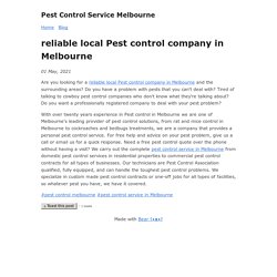 reliable local Pest control company in Melbourne